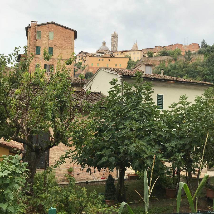 To Dream In Siena Apartment Luaran gambar